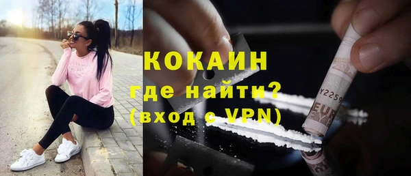 СК Волосово